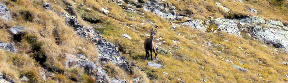 Ausflugsziele in den Alpen